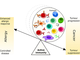 Bildquelle: Jensen‐Jarolim et al. (2017) AllergoOncology: Opposite outcomes of immune tolerance in allergy and cancer; https://doi.org/10.1111/all.13311