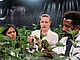 Young Scientists of the University of Hohenheim investigating Cannabis cultivars. Picture Source and Copyright: Max Kovalenko, University of Hohenheim