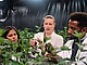 NachwuchswissenschaftlerInnen der Universität Hohenheim untersuchen Cannabis-Sorten. Copyright: Max Kovalenko, Universität Hohenheim